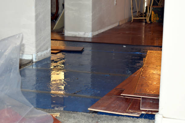 Professional Basement Water Removal technician working in Mentone, IN